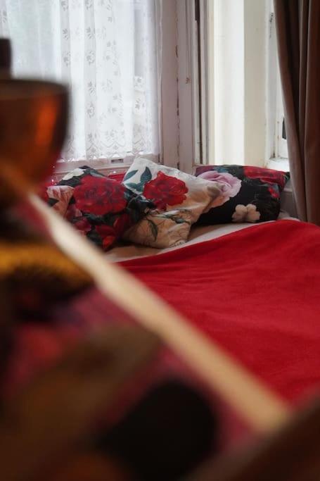 Cosy 1 Bedroom With Garden 2 Min From Seafront Μπράιτον Εξωτερικό φωτογραφία