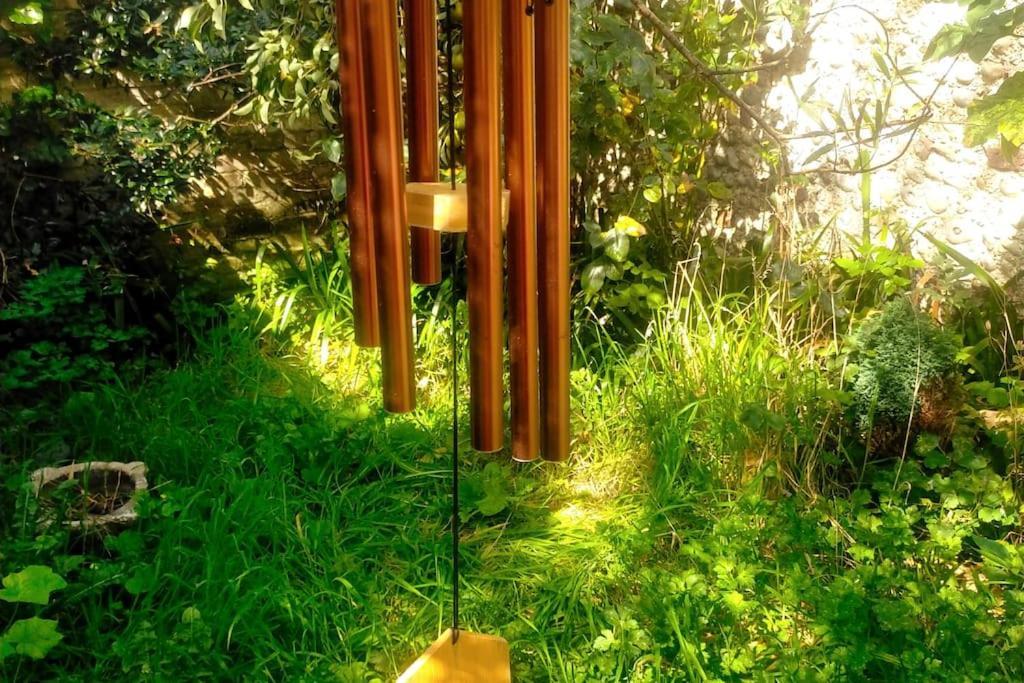 Cosy 1 Bedroom With Garden 2 Min From Seafront Μπράιτον Εξωτερικό φωτογραφία