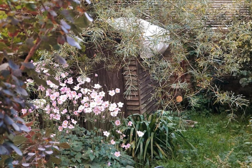 Cosy 1 Bedroom With Garden 2 Min From Seafront Μπράιτον Εξωτερικό φωτογραφία
