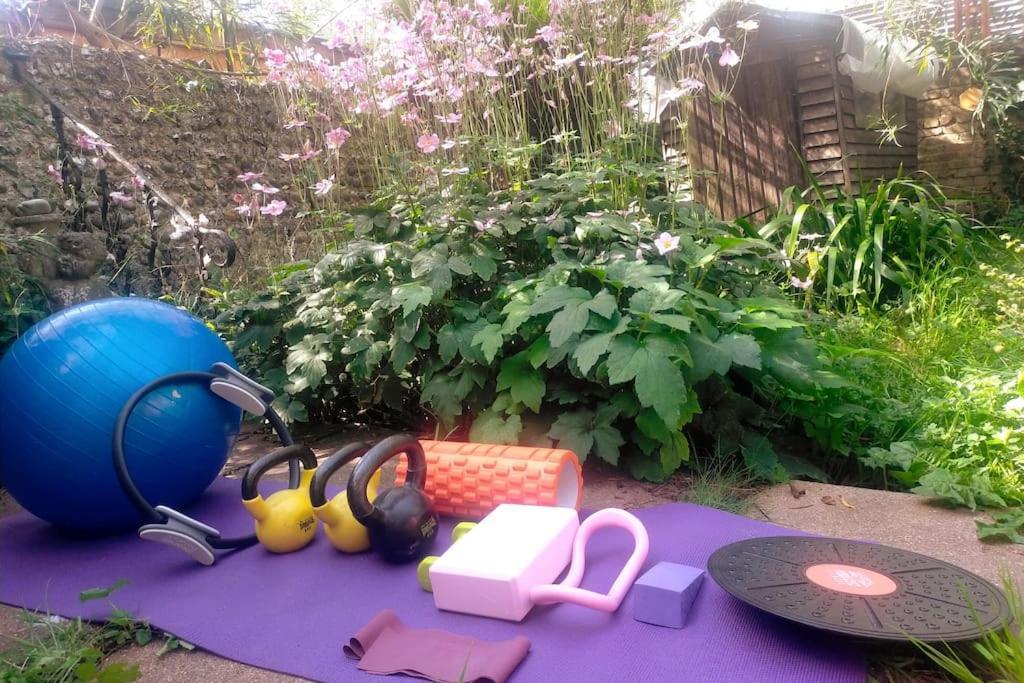 Cosy 1 Bedroom With Garden 2 Min From Seafront Μπράιτον Εξωτερικό φωτογραφία